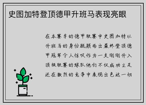 史图加特登顶德甲升班马表现亮眼