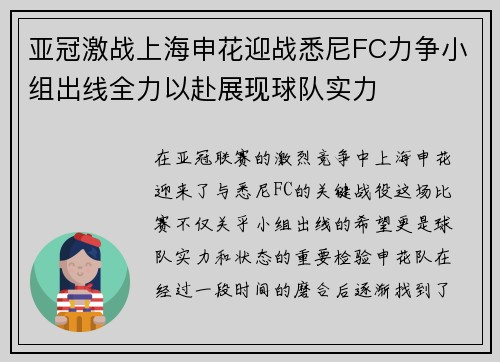亚冠激战上海申花迎战悉尼FC力争小组出线全力以赴展现球队实力