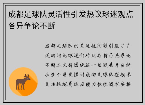 成都足球队灵活性引发热议球迷观点各异争论不断