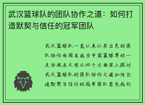 武汉篮球队的团队协作之道：如何打造默契与信任的冠军团队